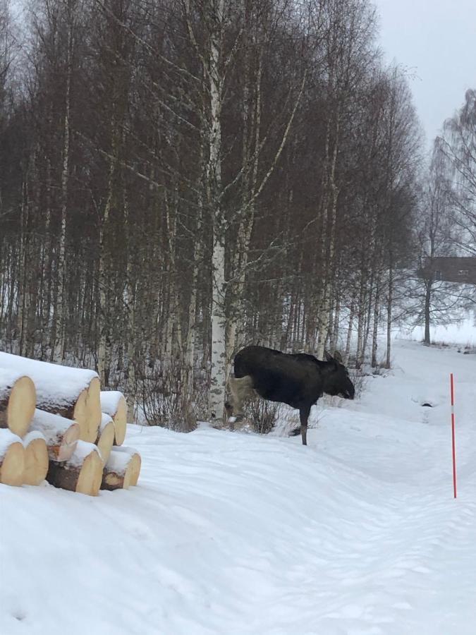 Trevlig Stuga Naera Hovfjaellet Турсбю Экстерьер фото