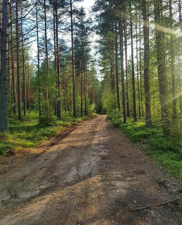 Trevlig Stuga Naera Hovfjaellet Турсбю Экстерьер фото