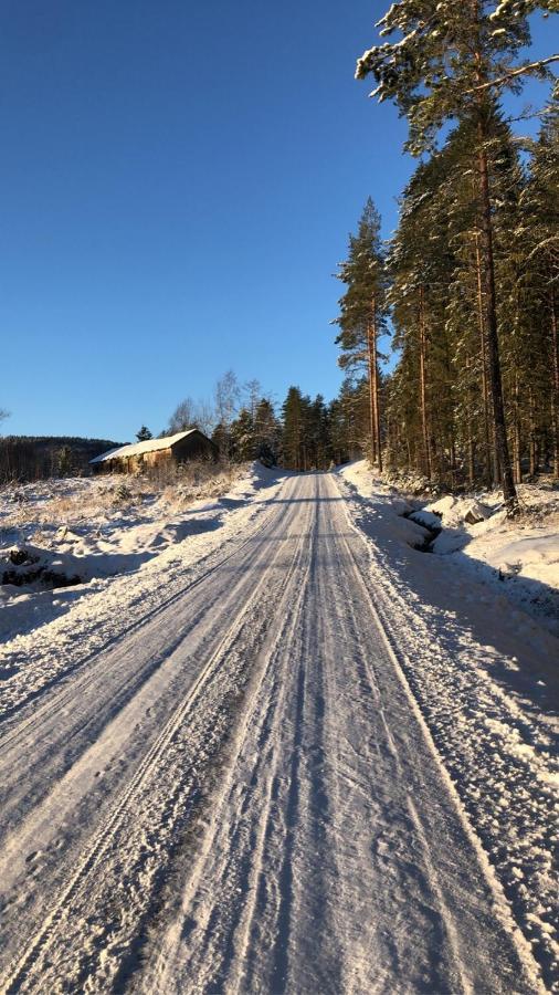 Trevlig Stuga Naera Hovfjaellet Турсбю Экстерьер фото