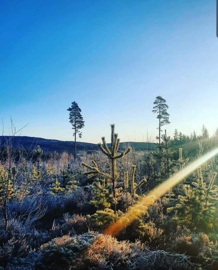 Trevlig Stuga Naera Hovfjaellet Турсбю Экстерьер фото